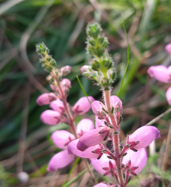 Offres / Prestations