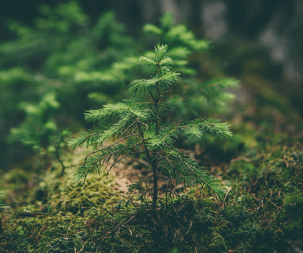 Méthodes et livrables